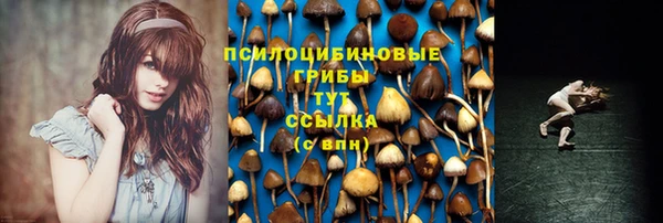 кокаин премиум Вяземский