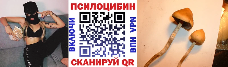 Галлюциногенные грибы мицелий  Олёкминск 