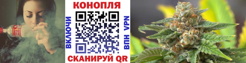 Конопля SATIVA & INDICA  shop наркотические препараты  Олёкминск 
